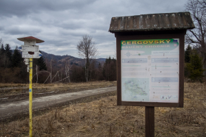 Veľká Javorina cez Čergov z Majdanu (Čergov)