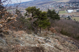 Kapušiansky hrad a hradný vrch z Kapušian (Šariš)