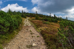 Babia hora z Pasekov (Oravské Beskydy)