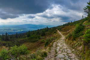 Babia hora z Pasekov (Oravské Beskydy)
