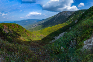 Babia hora z Pasekov (Oravské Beskydy)
