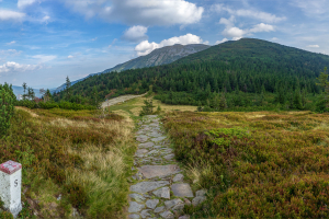 Babia hora z Pasekov (Oravské Beskydy)