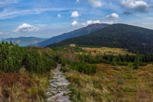 Babia hora z Pasekov (Oravské Beskydy)