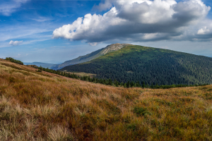 Babia hora z Pasekov (Oravské Beskydy)