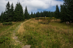 Babia hora z Pasekov (Oravské Beskydy)