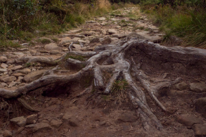 Babia hora z Pasekov (Oravské Beskydy)