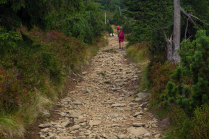 Babia hora z Pasekov (Oravské Beskydy)