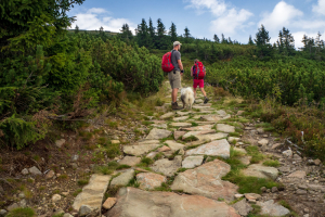 Babia hora z Pasekov (Oravské Beskydy)