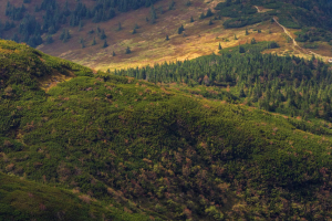 Babia hora z Pasekov (Oravské Beskydy)