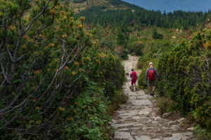 Babia hora z Pasekov (Oravské Beskydy)