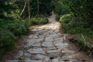 Babia hora z Pasekov (Oravské Beskydy)