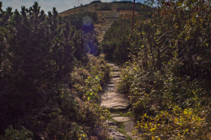 Babia hora z Pasekov (Oravské Beskydy)