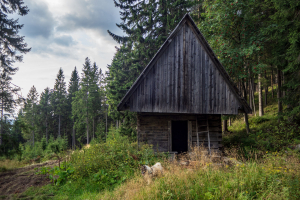 Babia hora z Pasekov (Oravské Beskydy)