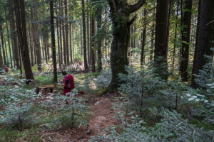 Babia hora z Pasekov (Oravské Beskydy)
