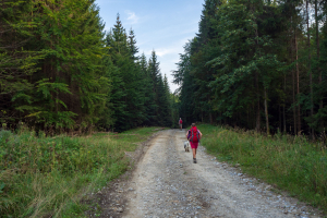 Babia hora z Pasekov (Oravské Beskydy)