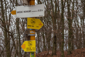 Hrad Šariš z Veľkého Šariša (Šariš)