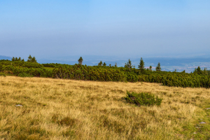 Pilsko zo sedla Hliny (Oravské Beskydy)