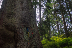 Pilsko zo sedla Hliny (Oravské Beskydy)