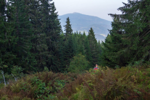 Pilsko zo sedla Hliny (Oravské Beskydy)