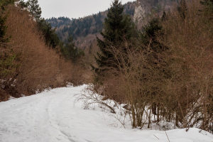Minčol z Kamenice (Čergov)
