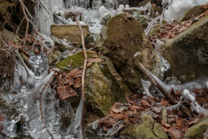 Minčol z Kamenice (Čergov)