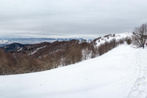Minčol z Kamenice (Čergov)