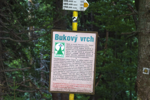 Sedlo Žobrák z  Hertníka (Čergov)