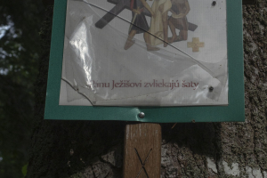 Sedlo Žobrák z  Hertníka (Čergov)