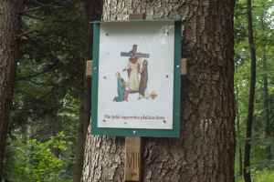 Sedlo Žobrák z  Hertníka (Čergov)