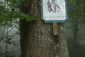 Sedlo Žobrák z  Hertníka (Čergov)