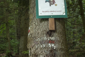 Sedlo Žobrák z  Hertníka (Čergov)