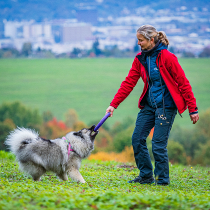 Fairy pod Kojšovou hoľou, Bankov