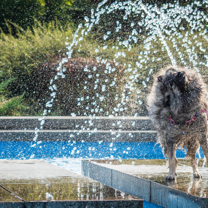 Fairy pod Kojšovou hoľou, fontána Magistrát