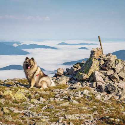 Fairy pod Kojšovou hoľou na Prašivej