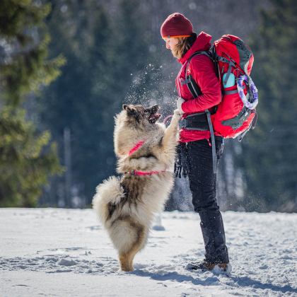 Fairy pod Kojšovou hoľou neďaleko Gačovskej skaly
