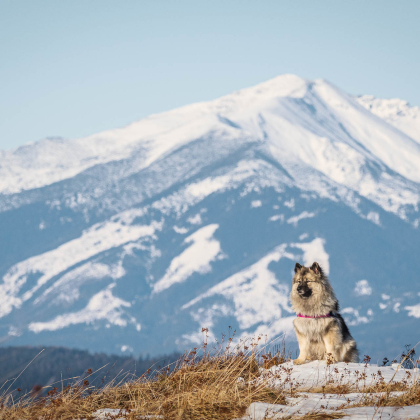 Fairy pod Kojšovou hoľou, v pozadí Baranec