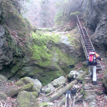 Rebrík v Lačnovskom kaňone