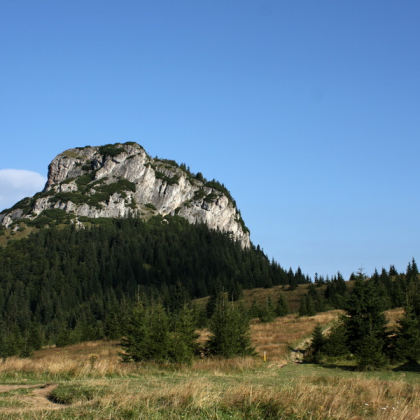 Veľký Rozsutec z Medziholia