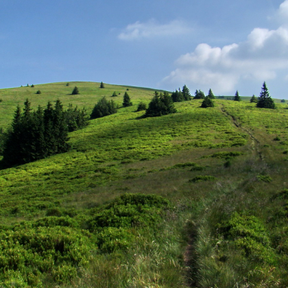 Martinské hole