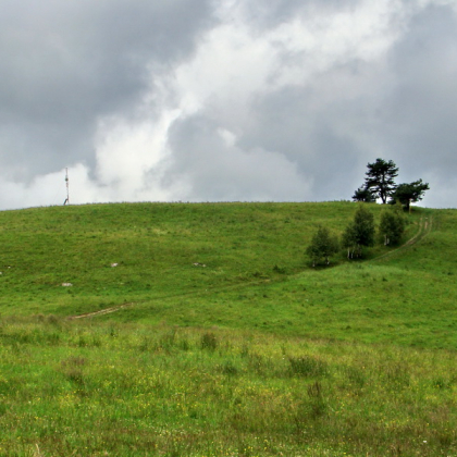 vrchol Bukovca