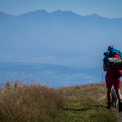 za Vyšným Šiprúnskym sedlom, v pozadí Západné Tatry