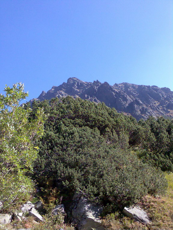 Kôprovský štít (Vysoké Tatry)