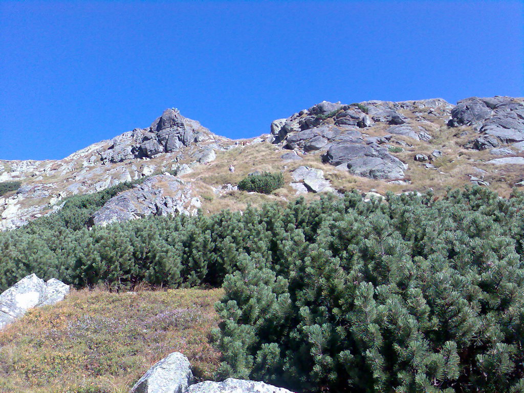 Kôprovský štít (Vysoké Tatry)