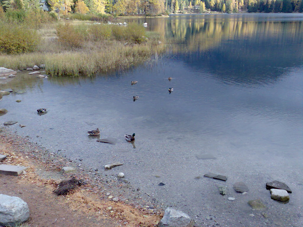 Kriváň (Vysoké Tatry)