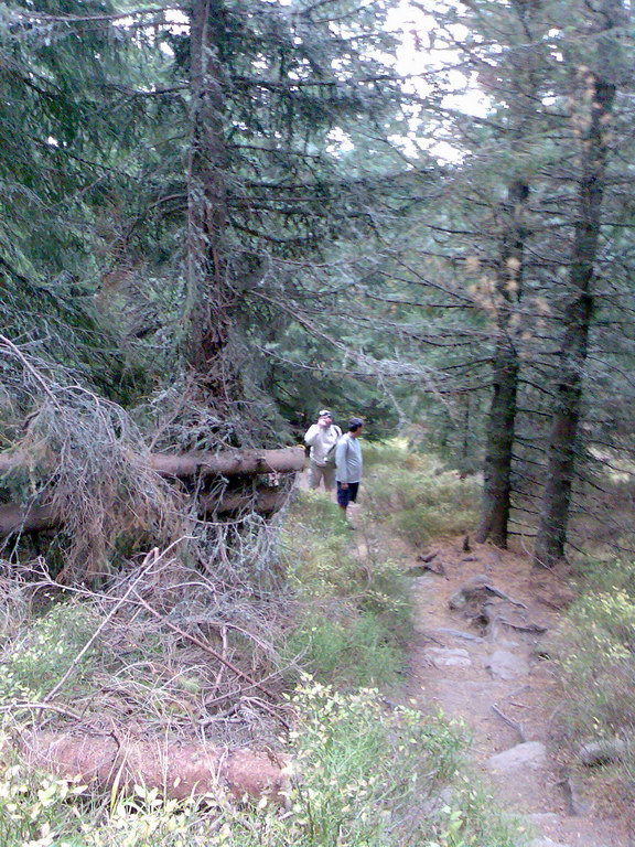 Kriváň (Vysoké Tatry)