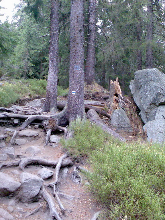 Kriváň (Vysoké Tatry)