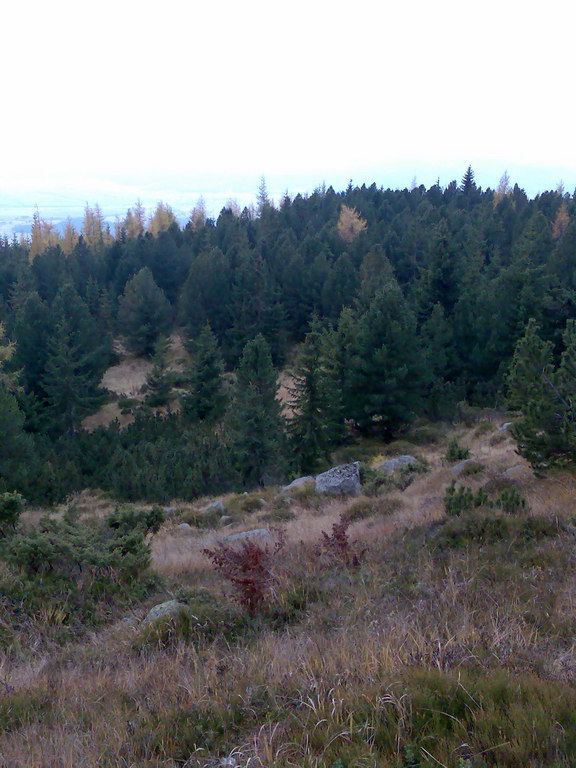 Kriváň (Vysoké Tatry)