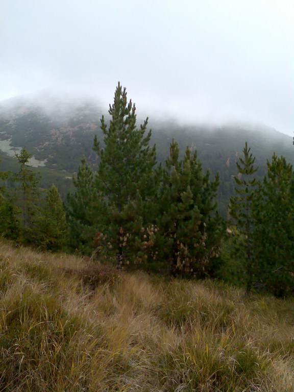 Kriváň (Vysoké Tatry)