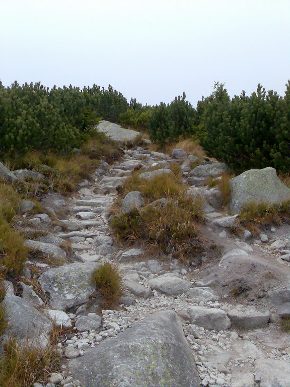 Kriváň (Vysoké Tatry)