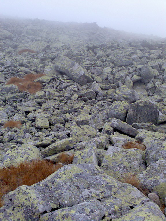 Kriváň (Vysoké Tatry)